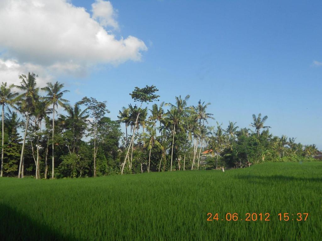Villa Jasmine B&B Ubud Zimmer foto